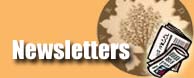 newsletters boletines correo email contact contacto vrinda