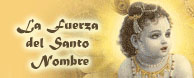 fuerza santo nombre conferencia lecture swami paramadvati vrinda