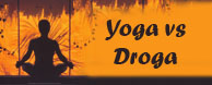 ypga droga conferencia lecture swami paramadvati vrinda