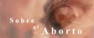 aborto sobre bhagavad gita tal como es video vrinda mission misón studios consciente conscious 