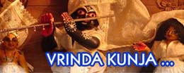 vrinda kunja tour inbound ecology vrindavan dham india ecología turismo spiritual espiritual